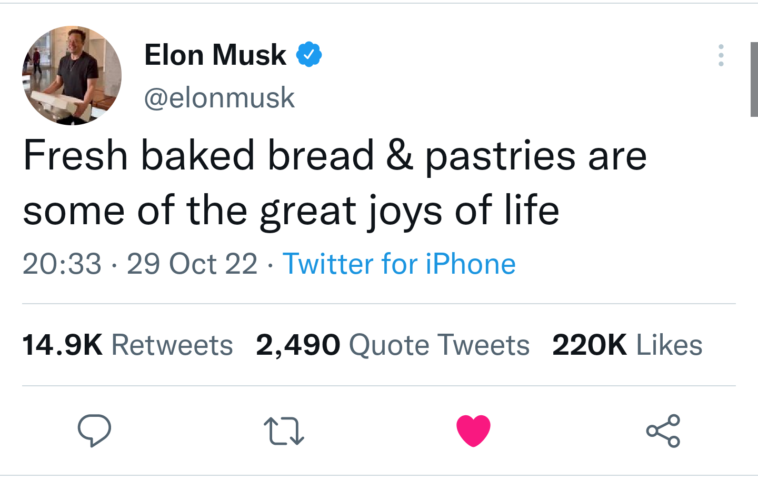 Lui Elon Musk Ii place pâinea românească confirmed.