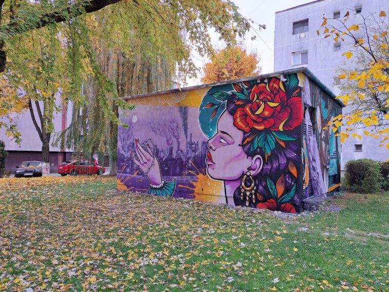 Pictură murală, Târgu Mureș