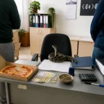 Șarpele primește bani din proiectul comun, dar ANAF vrea să fie trecut ca asociat